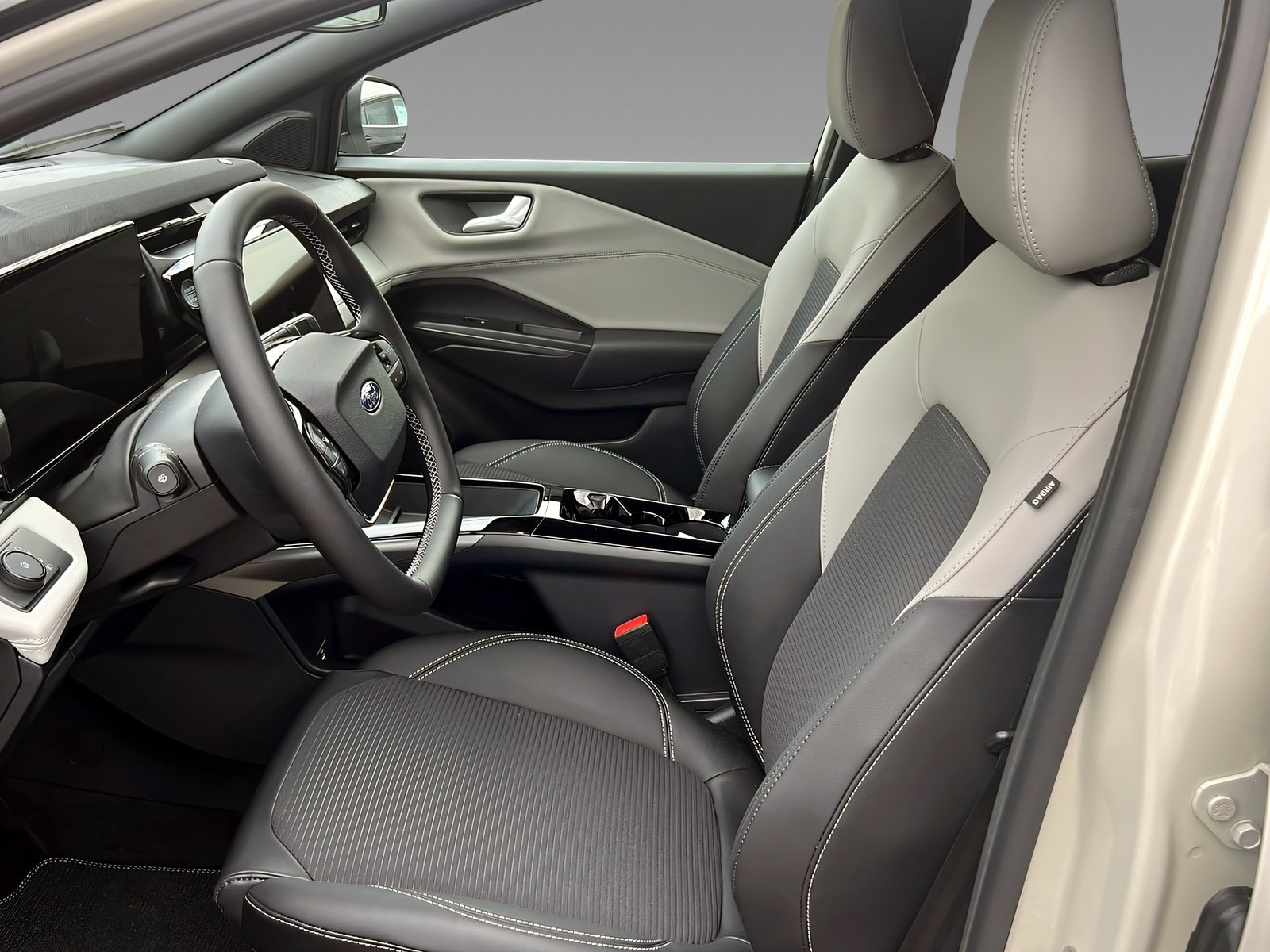 Gen-E Sound Edit.LED-Matrix+Winter+Fahrerassist. Bild 8