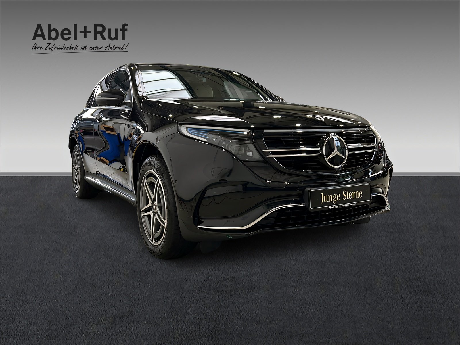 EQC 400 4M AMG+MULTI+DISTRO+Ambiente+DAB+AHK+360 Bild 6