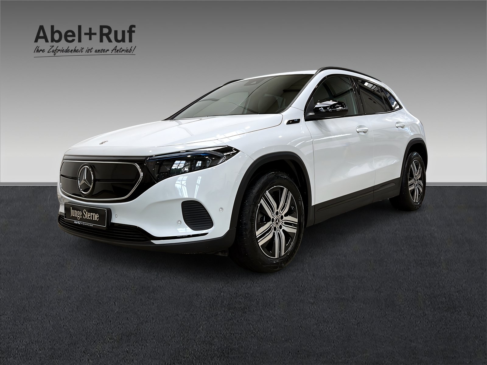 EQA 250 ELECTRIC ART+LED+NIGHT+Kamera+CarPlay Bild 1