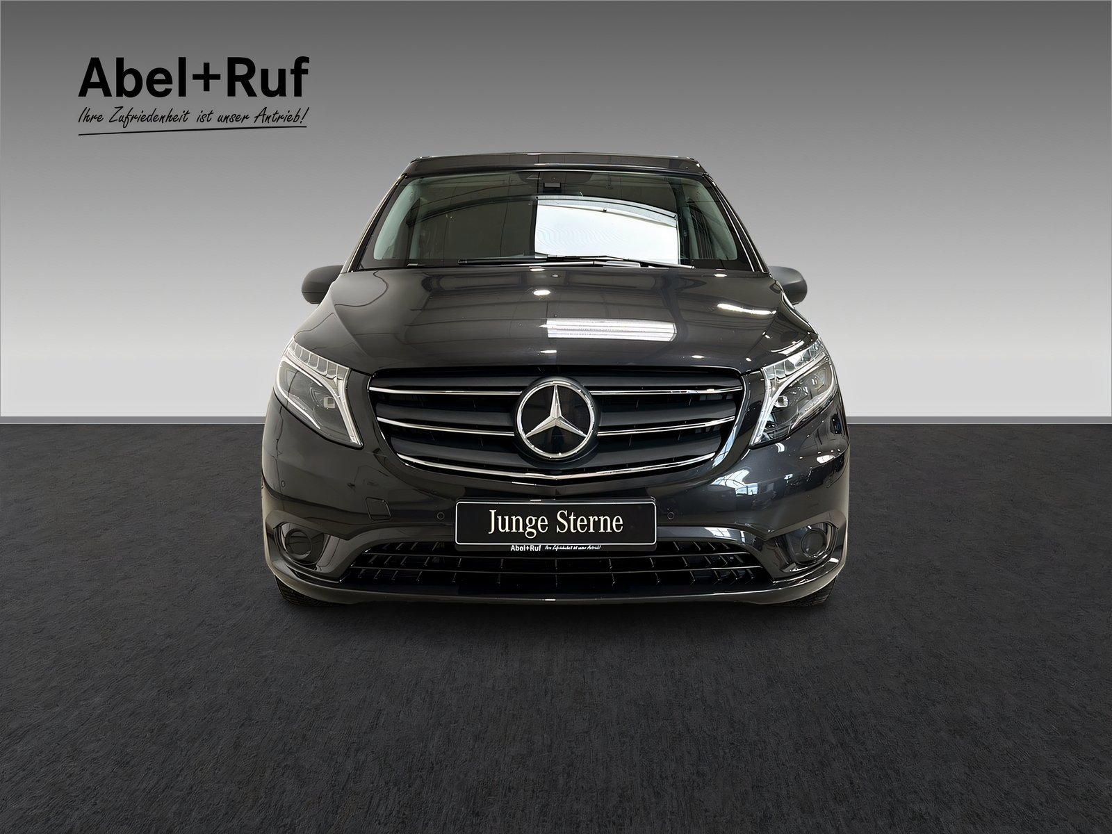 Marco Polo Activity 300d 4MATIC LED+Kamera+TotW Bild 2