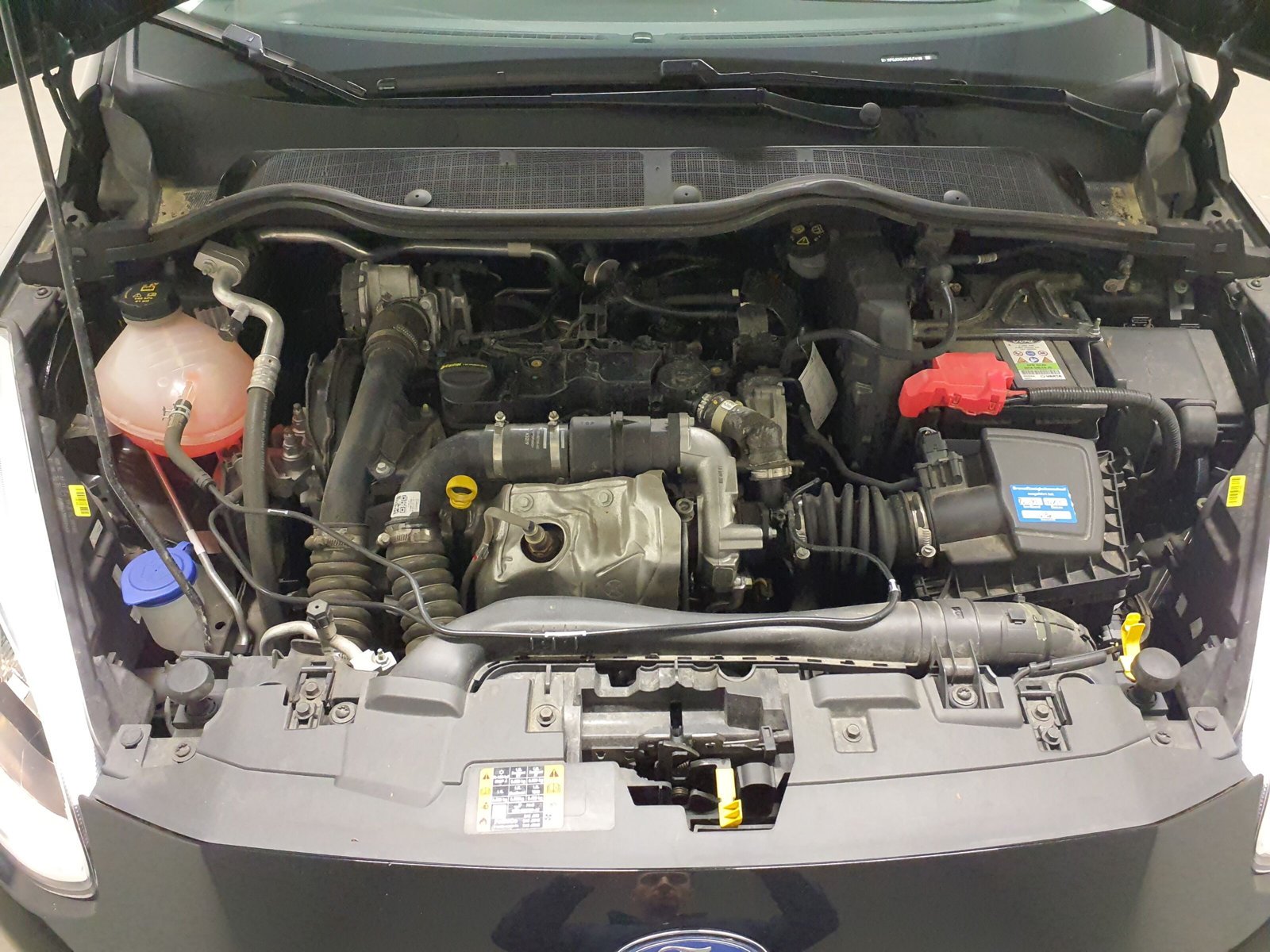 Ford Fiesta Cool & Connect Sitzheizung+PDC Bild 13